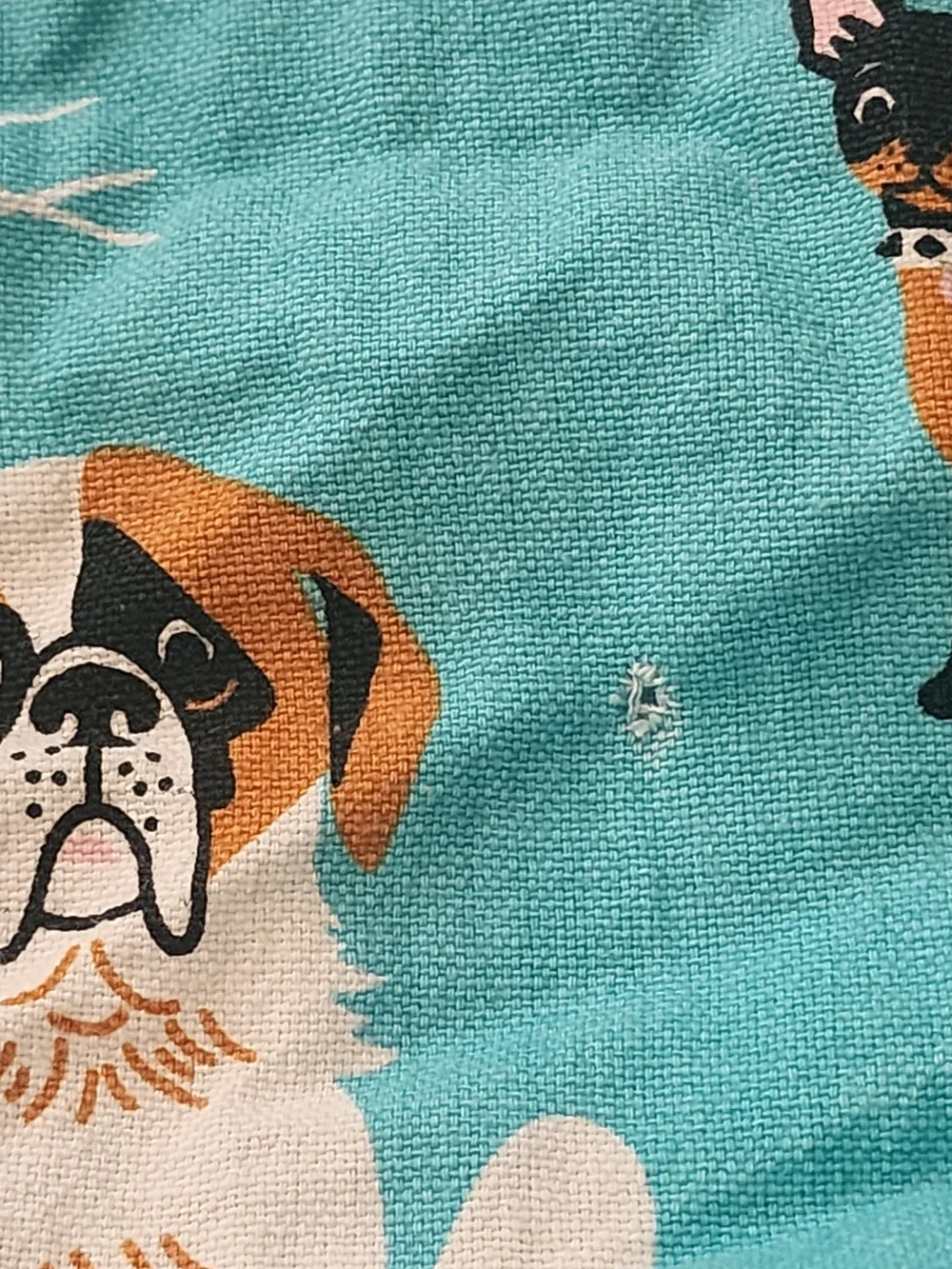 Turquoise Dog Pattern Kitchen Towel – Pets Dog Print